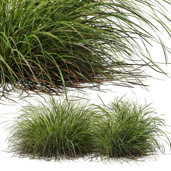 80 Different SETS Of Grass and Bush SET VOL08