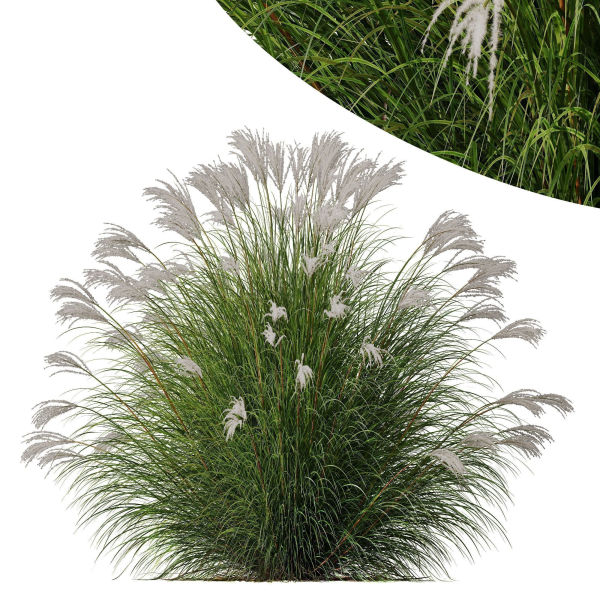 80 Different SETS Of Grass and Bush SET VOL08