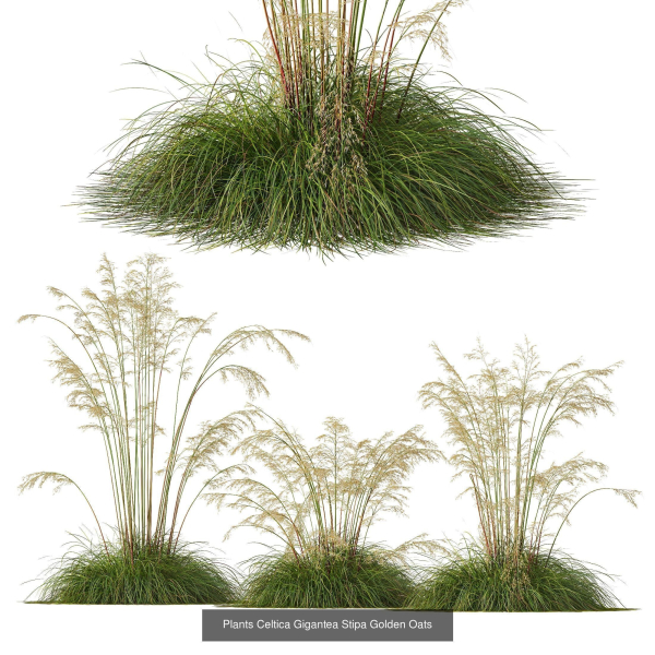 80 Different SETS Of Grass and Bush SET VOL08