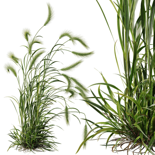 80 Different SETS Of Grass and Bush SET VOL08