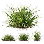 80 Different SETS Of Grass and Bush SET VOL08