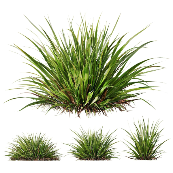 80 Different SETS Of Grass and Bush SET VOL08