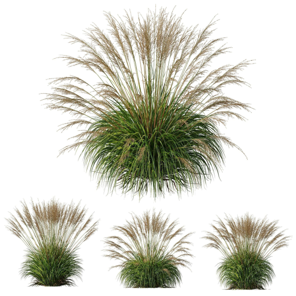 80 Different SETS Of Grass and Bush SET VOL08
