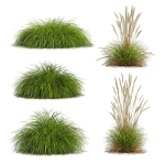 80 Different SETS Of Grass and Bush SET VOL08