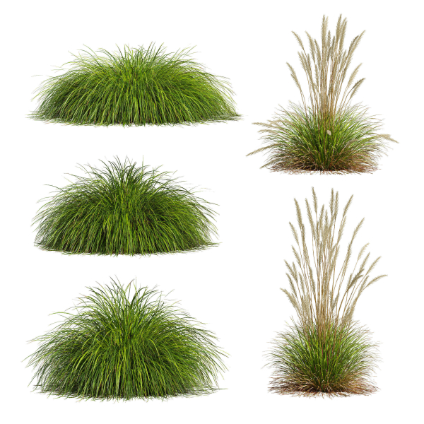 80 Different SETS Of Grass and Bush SET VOL08