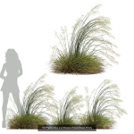 80 Different SETS Of Grass and Bush SET VOL08