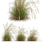 80 Different SETS Of Grass and Bush SET VOL08