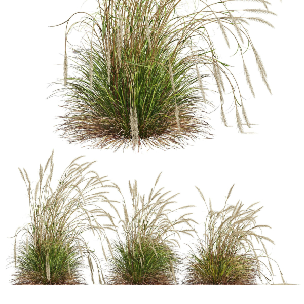 80 Different SETS Of Grass and Bush SET VOL08