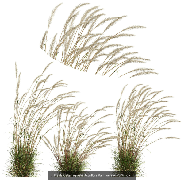 80 Different SETS Of Grass and Bush SET VOL08