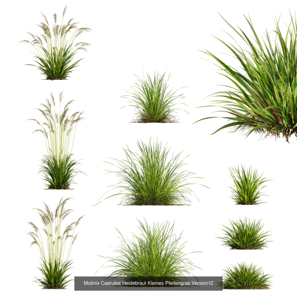 80 Different SETS Of Grass and Bush SET VOL08