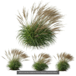 80 Different SETS Of Grass and Bush SET VOL08