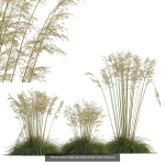 80 Different SETS Of Grass and Bush SET VOL08