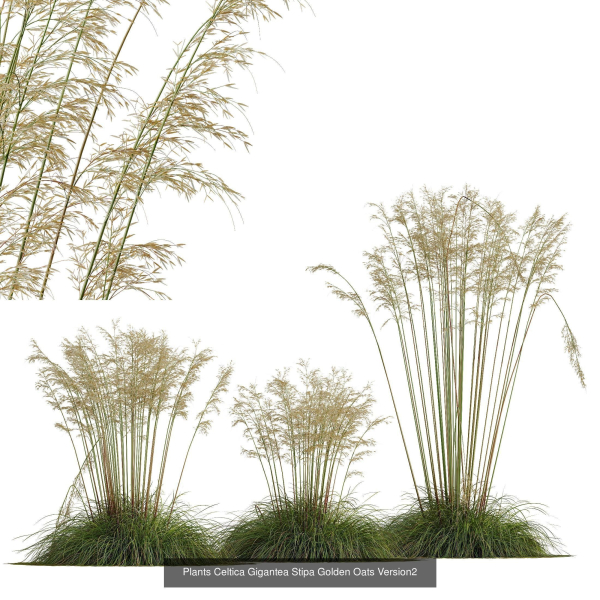 80 Different SETS Of Grass and Bush SET VOL08