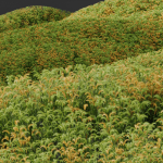 80 Different SETS Of Grass and Bush SET VOL08