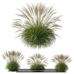 80 Different SETS Of Grass and Bush SET VOL08