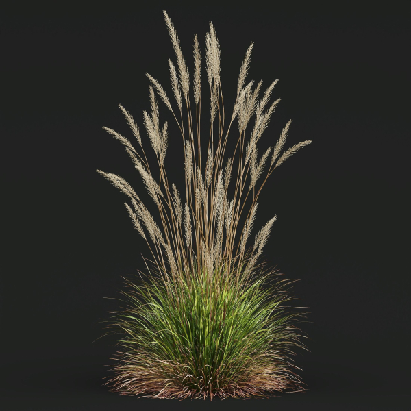 80 Different SETS Of Grass and Bush SET VOL08