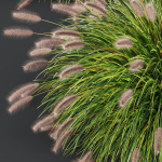 80 Different SETS Of Grass and Bush SET VOL08