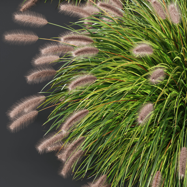 80 Different SETS Of Grass and Bush SET VOL08