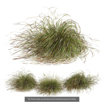 80 Different SETS Of Grass and Bush SET VOL08