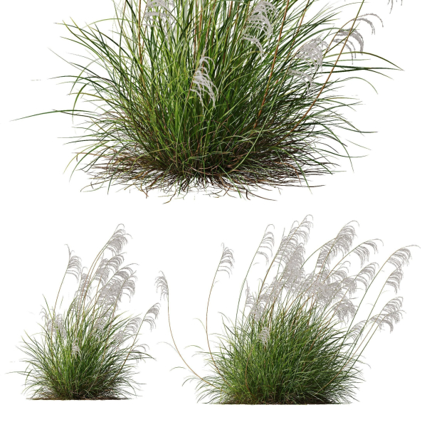 80 Different SETS Of Grass and Bush SET VOL08