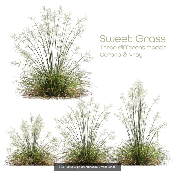 80 Different SETS Of Grass and Bush SET VOL08