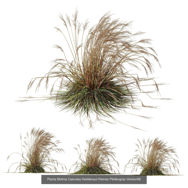 80 Different SETS Of Grass and Bush SET VOL08