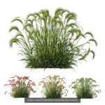 80 Different SETS Of Grass and Bush SET VOL08