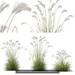 80 Different SETS Of Grass and Bush SET VOL08