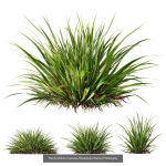 80 Different SETS Of Grass and Bush SET VOL08