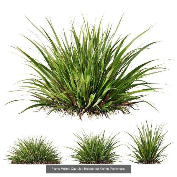 80 Different SETS Of Grass and Bush SET VOL08