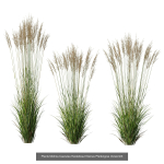 80 Different SETS Of Grass and Bush SET VOL08