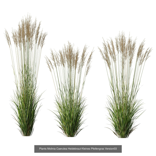 80 Different SETS Of Grass and Bush SET VOL08
