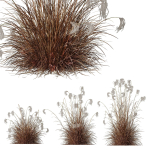 80 Different SETS Of Grass and Bush SET VOL08