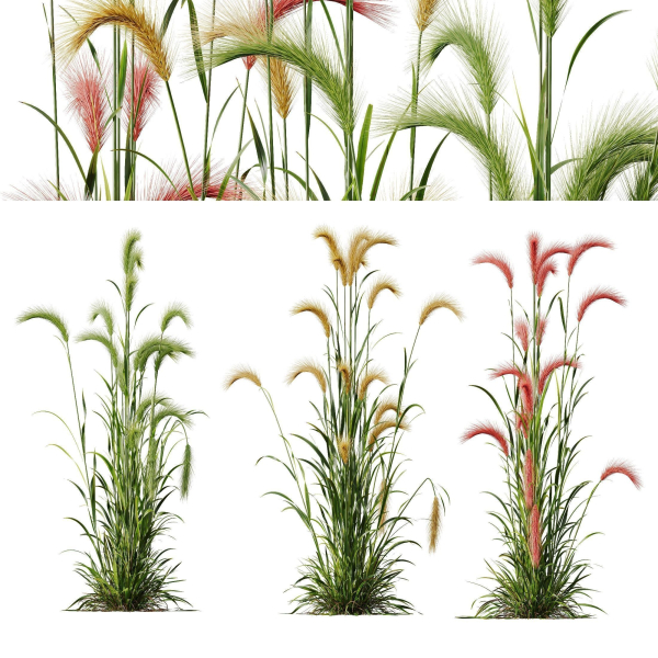 80 Different SETS Of Grass and Bush SET VOL08