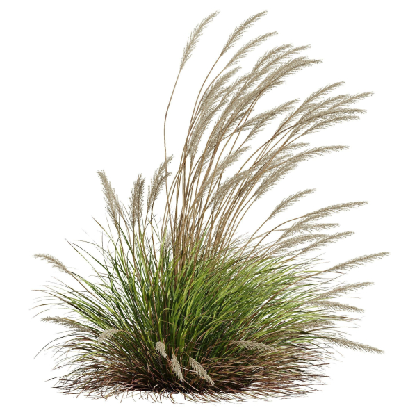 80 Different SETS Of Grass and Bush SET VOL08