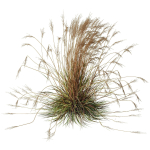 80 Different SETS Of Grass and Bush SET VOL08