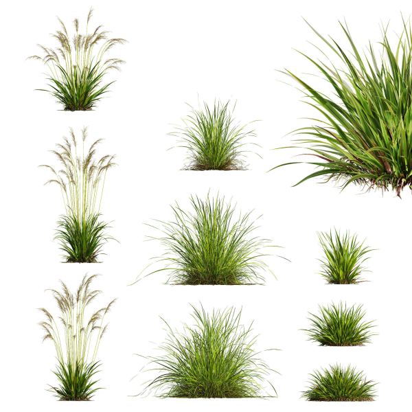 80 Different SETS Of Grass and Bush SET VOL08