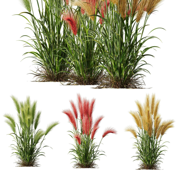 80 Different SETS Of Grass and Bush SET VOL08