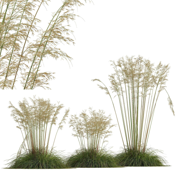 80 Different SETS Of Grass and Bush SET VOL08