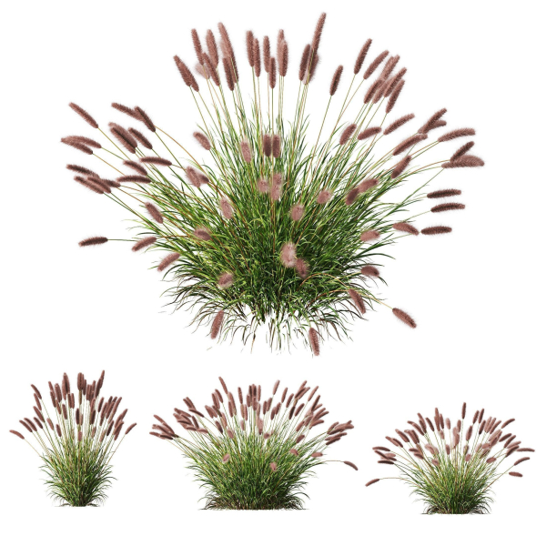 80 Different SETS Of Grass and Bush SET VOL08
