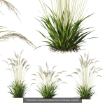 80 Different SETS Of Grass and Bush SET VOL08