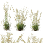 80 Different SETS Of Grass and Bush SET VOL08