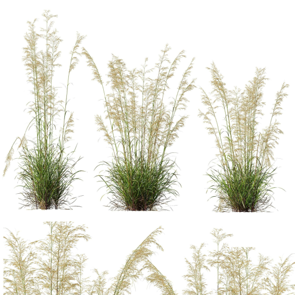 80 Different SETS Of Grass and Bush SET VOL08