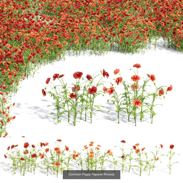 80 Different SETS Of Grass and Bush SET VOL08