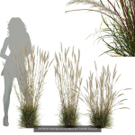 80 Different SETS Of Grass and Bush SET VOL08