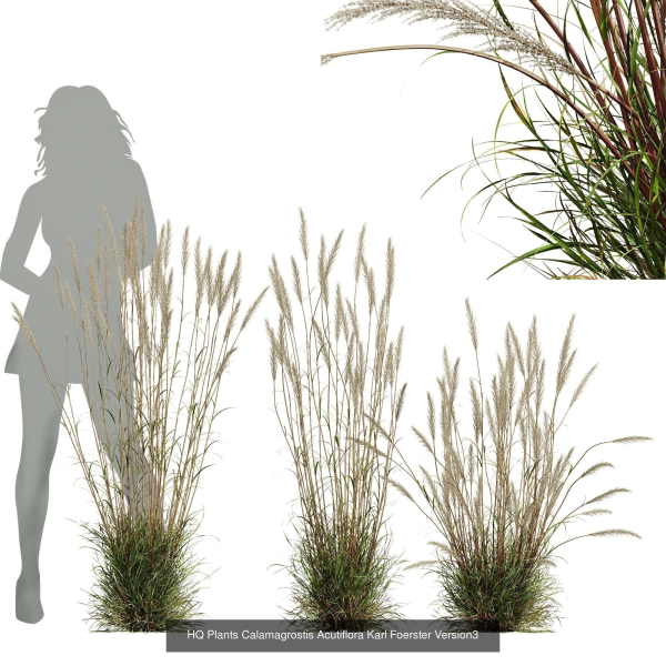 80 Different SETS Of Grass and Bush SET VOL08