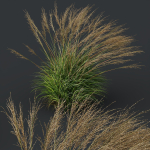 80 Different SETS Of Grass and Bush SET VOL08