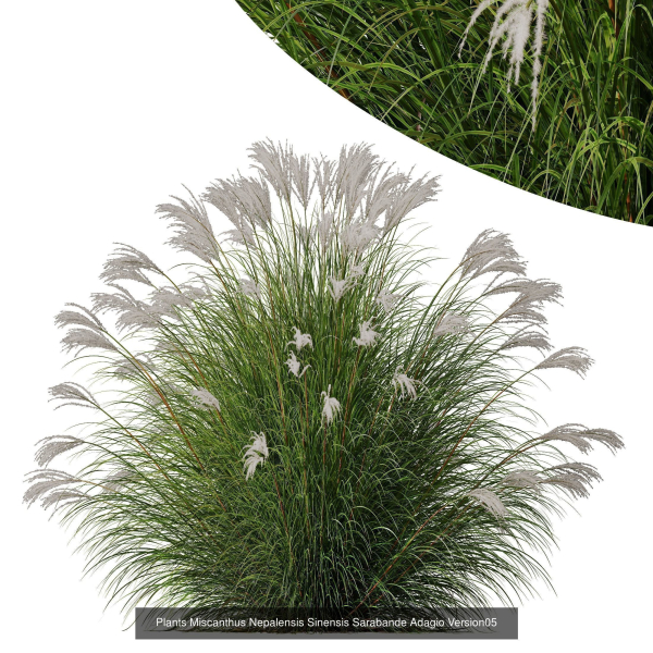80 Different SETS Of Grass and Bush SET VOL08