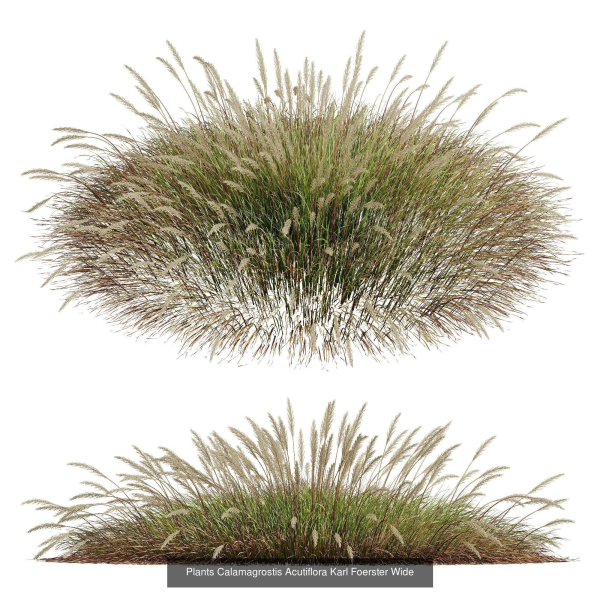 80 Different SETS Of Grass and Bush SET VOL08