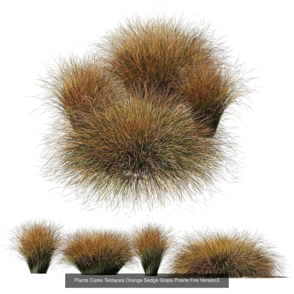 80 Different SETS Of Grass and Bush SET VOL08